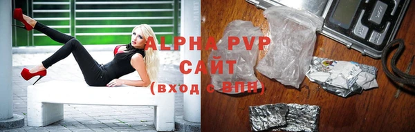 гашик Белокуриха