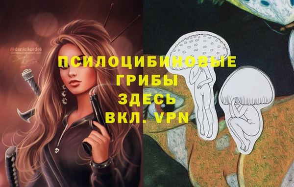 ECSTASY Беломорск