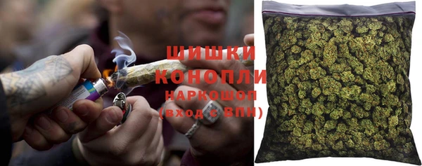 гашик Белокуриха