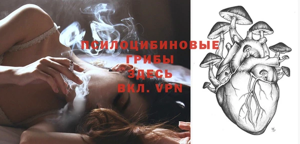 гашик Белокуриха