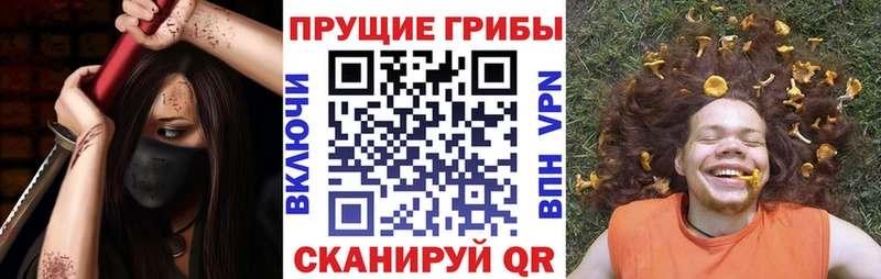 Псилоцибиновые грибы прущие грибы  Мглин 